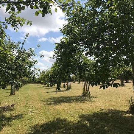 Vakantiehuizen 'T Centrum Oostkapelle Exteriér fotografie