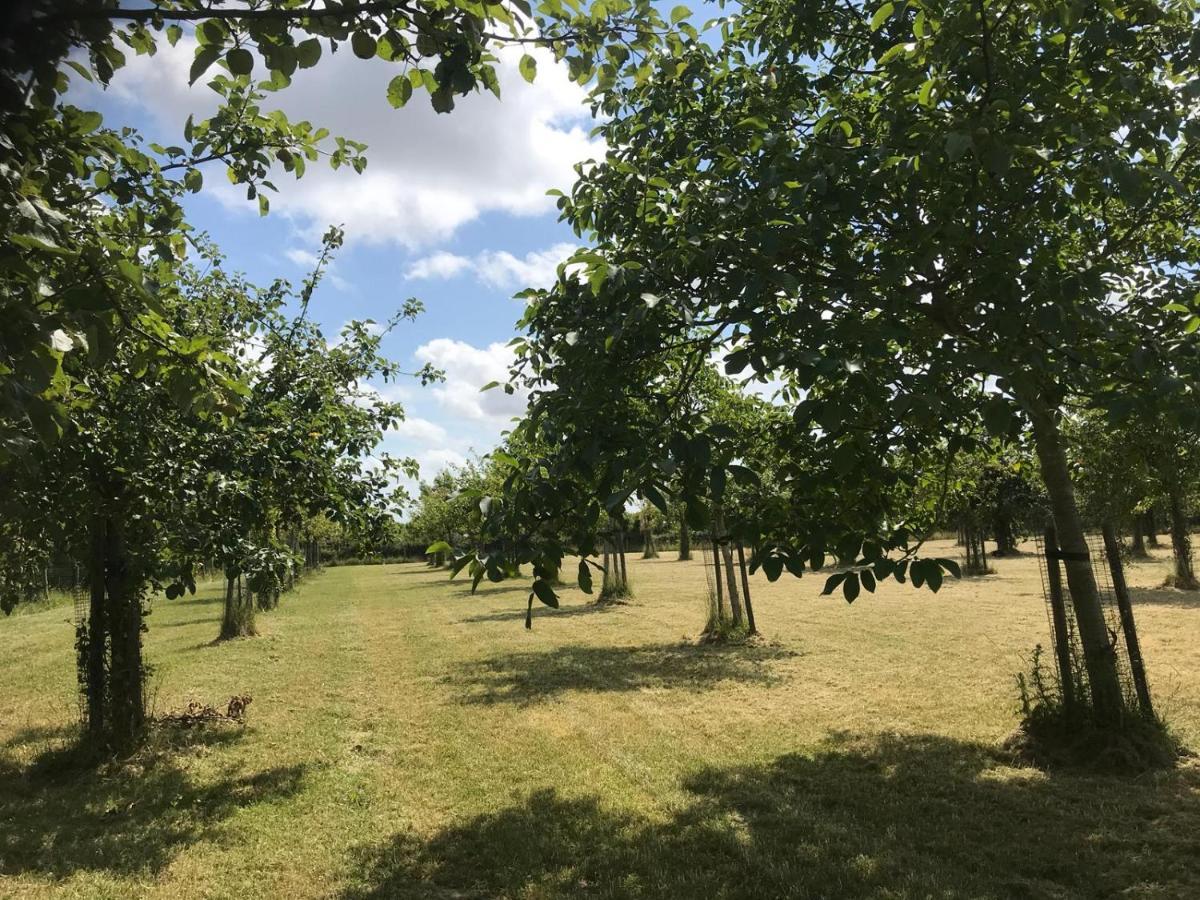 Vakantiehuizen 'T Centrum Oostkapelle Exteriér fotografie